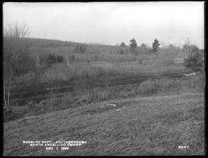 Sudbury Department, North Angellico Swamp improved, Southborough, Mass., Dec. 7, 1899