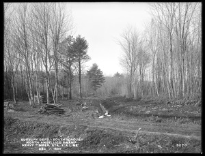 Sudbury Department, North Angellico Swamp, heavy timber, station 2, A Line, Southborough, Mass., Dec. 7, 1899