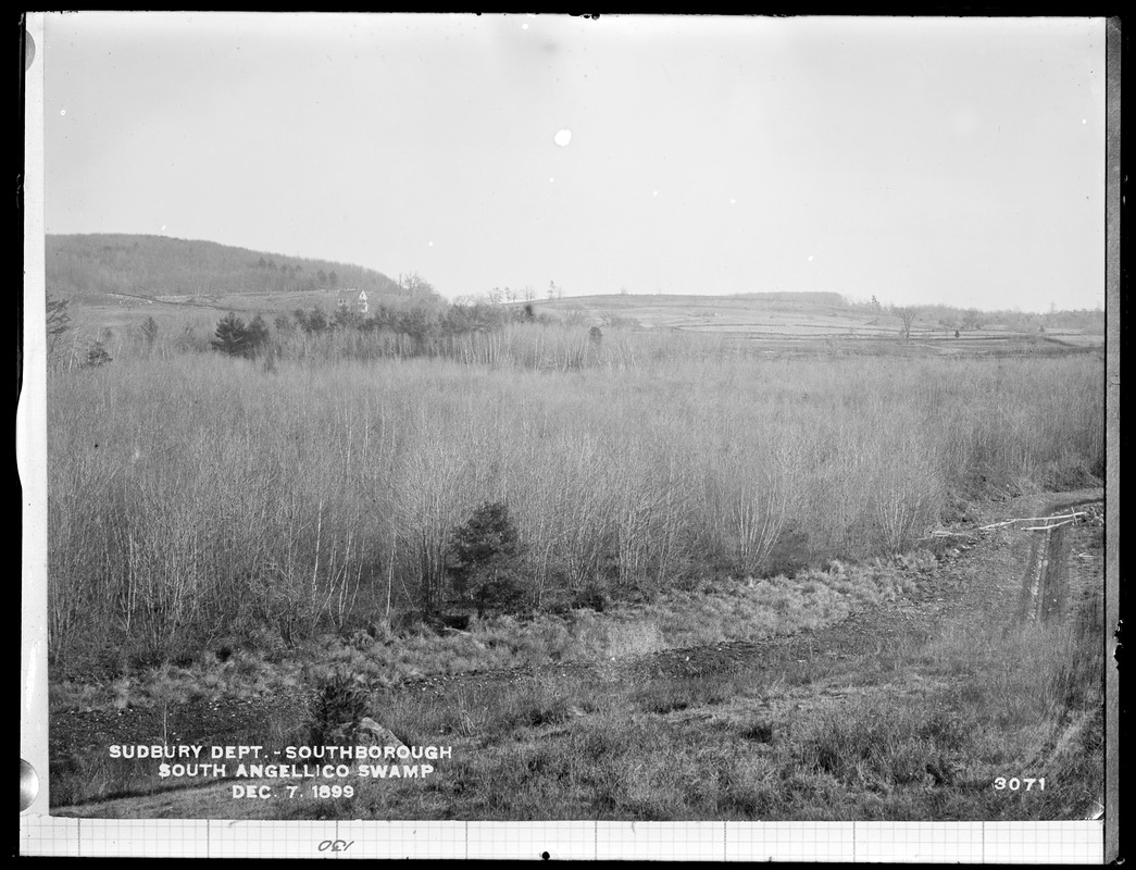Sudbury Department, South Angellico Swamp, drainage ditch, Southborough, Mass., Dec. 7, 1899