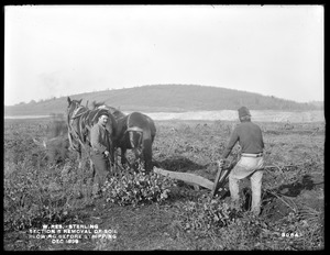 Wachusett Reservoir, removal of soil, Section 5, plowing before stripping, Sterling, Mass., Dec. 1899