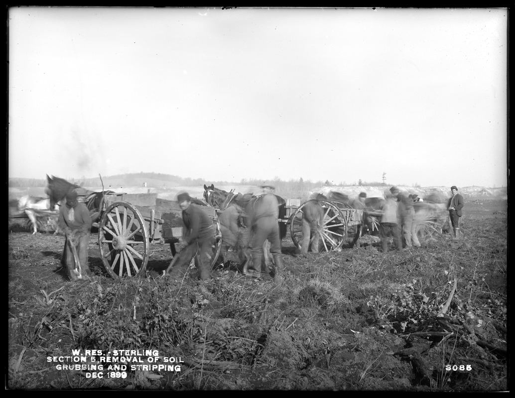 Wachusett Reservoir, removal of soil, Section 5, grubbing and stripping, Sterling, Mass., Dec. 1899