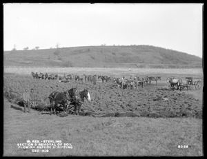 Wachusett Reservoir, removal of soil, Section 5, plowing before stripping, Sterling, Mass., Dec. 1899