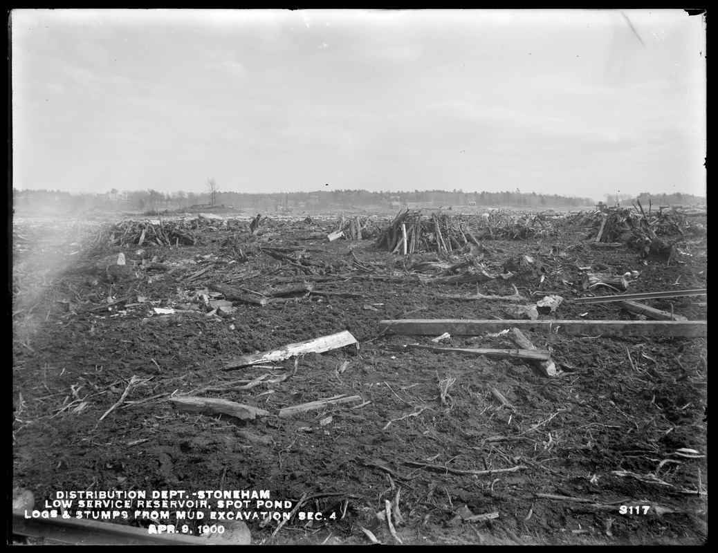 Distribution Department, Low Service Spot Pond Reservoir, logs and stumps from mud excavation, Section 4, Stoneham, Mass., Apr. 9, 1900