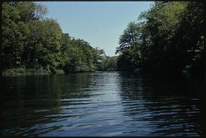 Charles River Audubon Society Reservation at Natick off Rt. 16