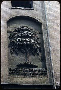 Liberty Tree plaque