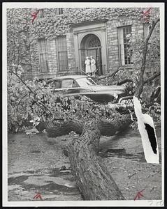 This car suffered only slight damage when the tree with it's "Y" shaped limbs fell on it. Salem, Mass.