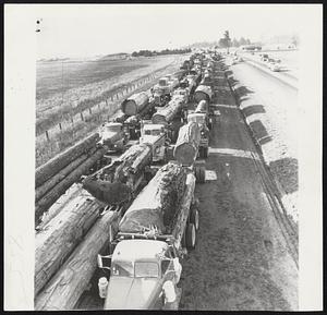 Log Jam on Highway resulted in Eureka, Calif., yesterday when California Highway Patrol officers sought to enforce load limits, and truck drivers balked. Here are a few of more than 175 giant logging trucks sitting it out. Representatives of California Association of Timber Truckers are meeting with Patrol officials to straighten out the impasse.