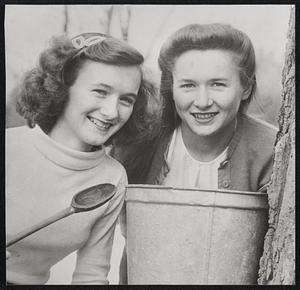 Sap on Tap in the Sugar Bush--It's Maple Syrup Time Again in Vermont. The Harvest is a Little Skimpier Than Usual But Just as Sweet. Gladys and Harriet Olmstead of So. Royalston, Vt. Take a Sample While Gath Ring Sap.
