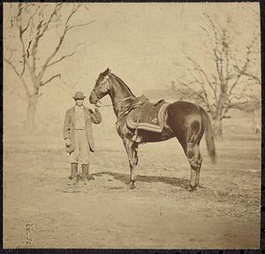 General Grant's horse, "Cincinnati"