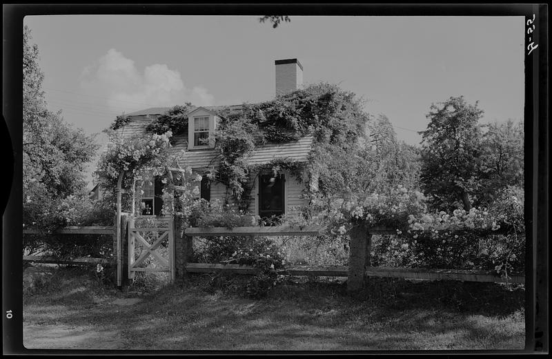 Cottages, Rockport - Digital Commonwealth