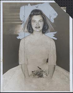 Mary Rose Harvey