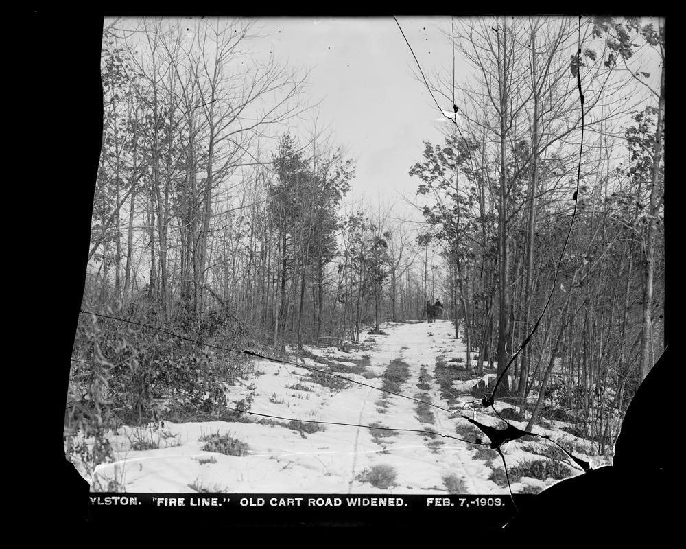 Wachusett Reservoir, Fire Line, old cart road widened, Boylston, Mass., Feb. 7, 1903