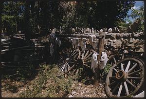 Animal skulls and wagon wheels, Santa Fe, New Mexico