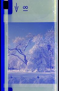 Snow in Boston Common