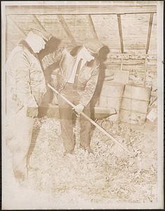 Eleanor Badger, murdered