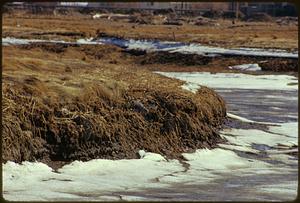 Revere Marsh from RR track