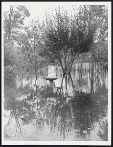 Floods