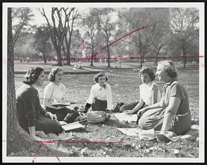 Public Garden or Miami Beach?-With the temperature at an all-time November high of 83, these girls study on the grass. Left to right, Carole Pereira, Betty Gulli, Jeannette Cote, Margaret Jardine and Lorretta Braunfeld.