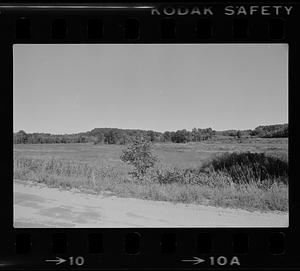 Elwell family's Maple Crest Farm