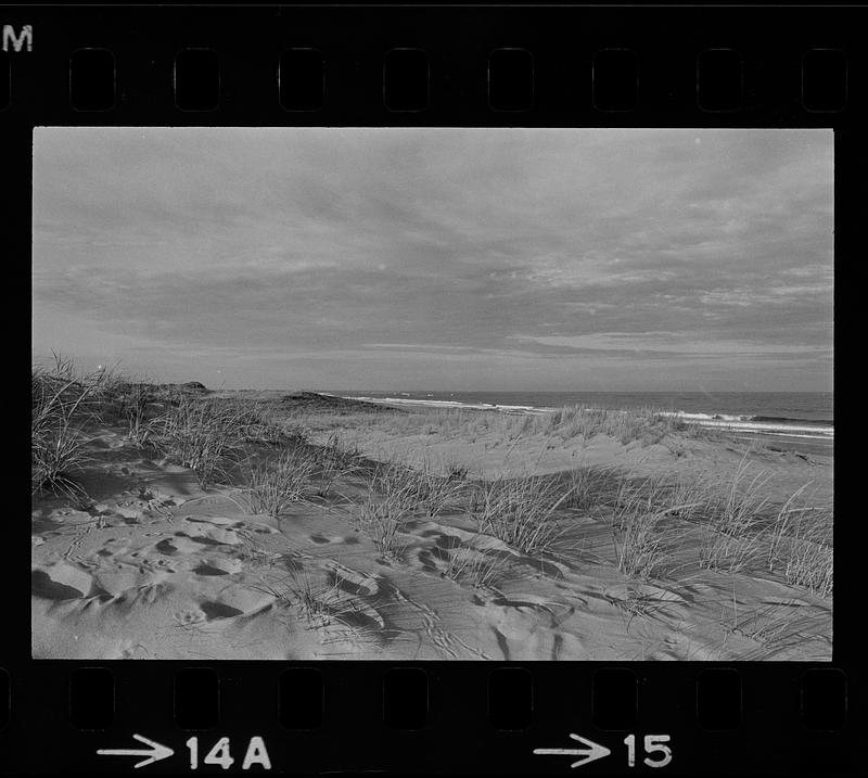 Plum Island refuge, beach, and dunes