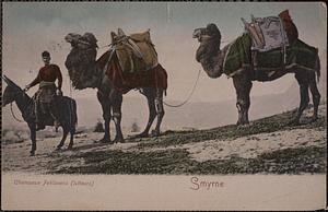 Smyrne, chameaux pehlavans (lutteurs)