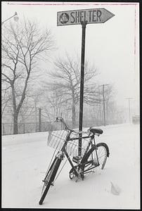 Raging Blizzard and 40-mile an hour winds convinced at least one bicyclist to leave his bicycle at Charlton St., Brookline, and take shelter from the storm.