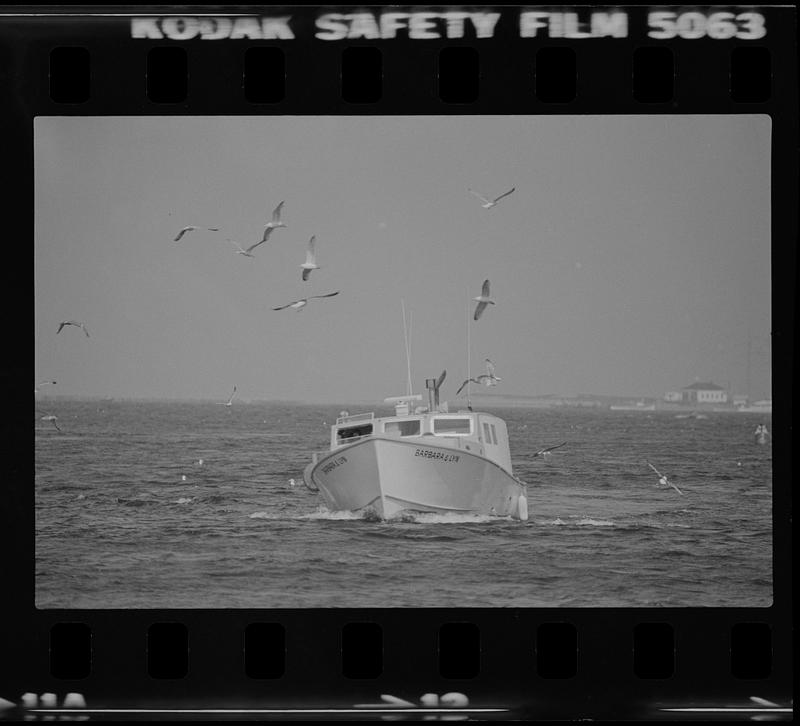 Boat Barbara & Lyn in water