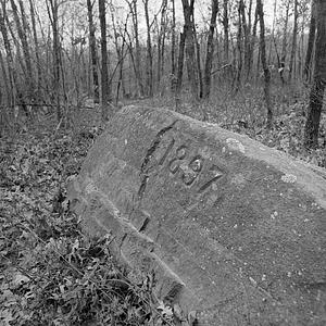 Assonet Ledge, Freetown-Fall River State Forest, Fall River, MA