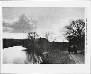 The Charles River and the Morse Estate, Needham, Mass.