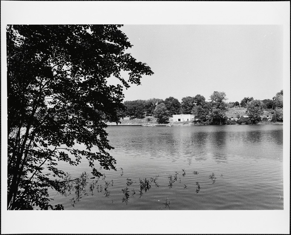 Rosemary Lake from Camp Malcolm