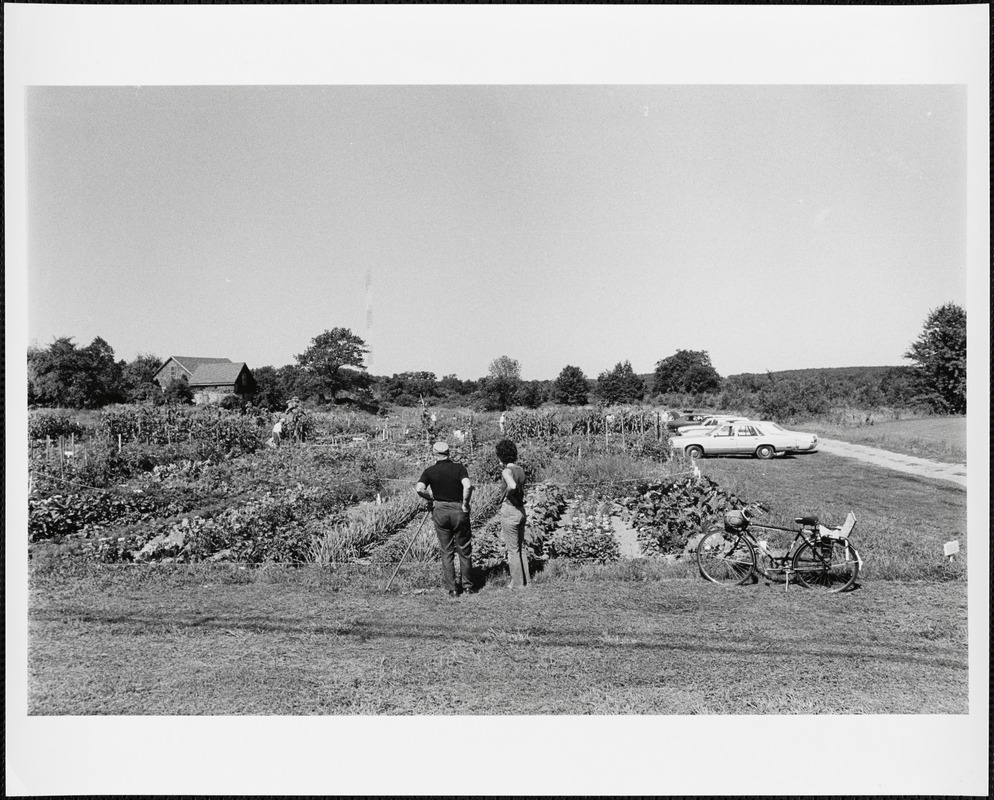 Retired Men's Club garden