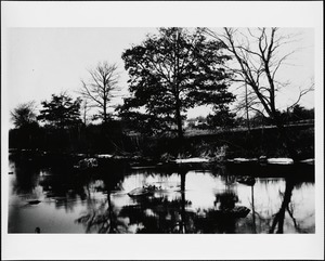 Below Charles River Village