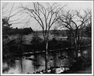 Charles River, rapids