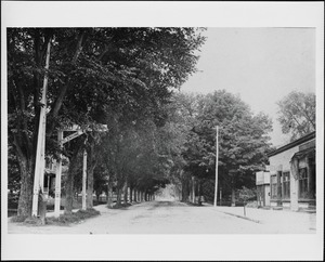 Needham Square, Great Plain Avenue