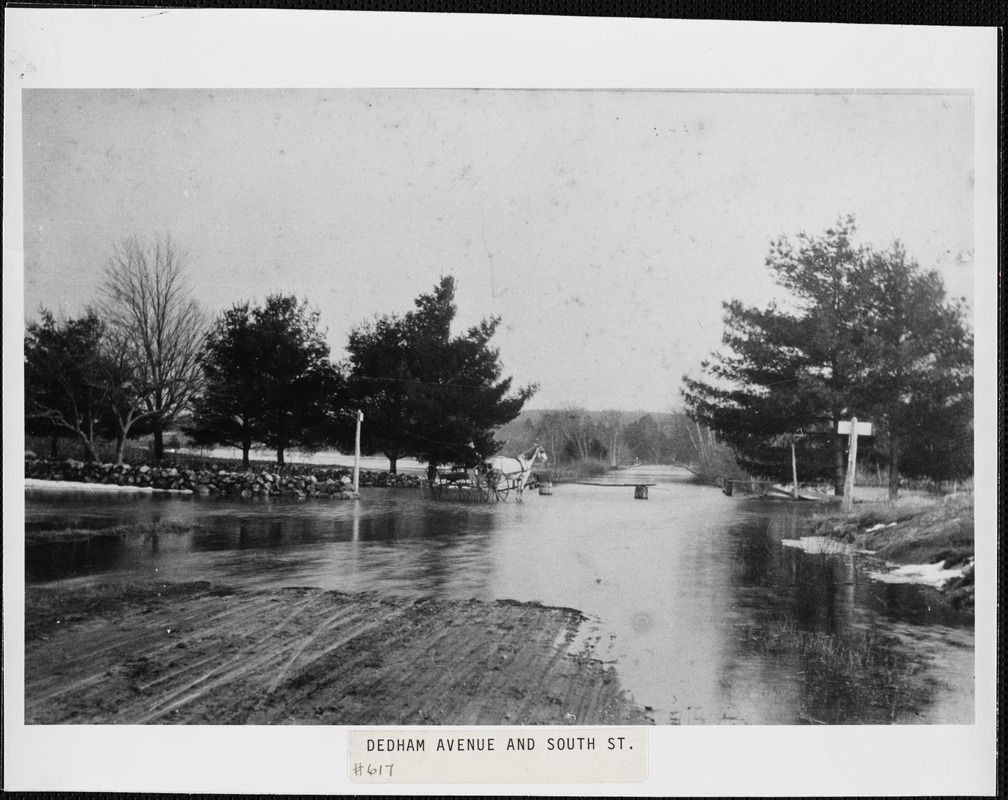 Dedham Avenue & South Street