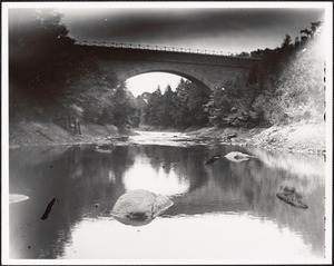 Echo Bridge