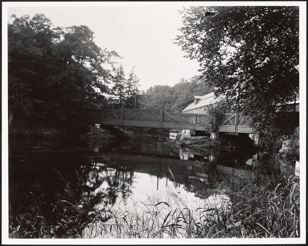 Unknown bridge