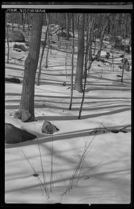 Manchester, snow scene