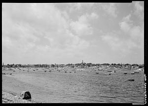 Marblehead, marine, harbor scene