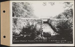 Beaver Brook at Pepper's mill pond dam, Ware, Mass., 8:20 AM, Jun. 5, 1936