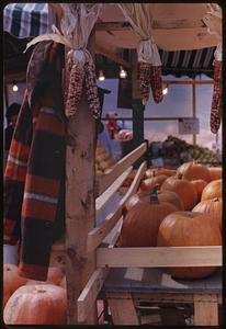 Pumpkins and corn for sale at market, Old Sturbridge Village, Sturbridge, Massachusetts