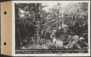 Contract No. 55, Portion of Petersham-New Salem Highway, Petersham, Franklin County (Worcester County?), looking northwesterly on property of Margaret Fiske, from Sta. 390+50, Franklin County, Mass., Jul. 9, 1936