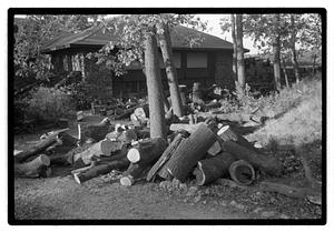 A pile of wood