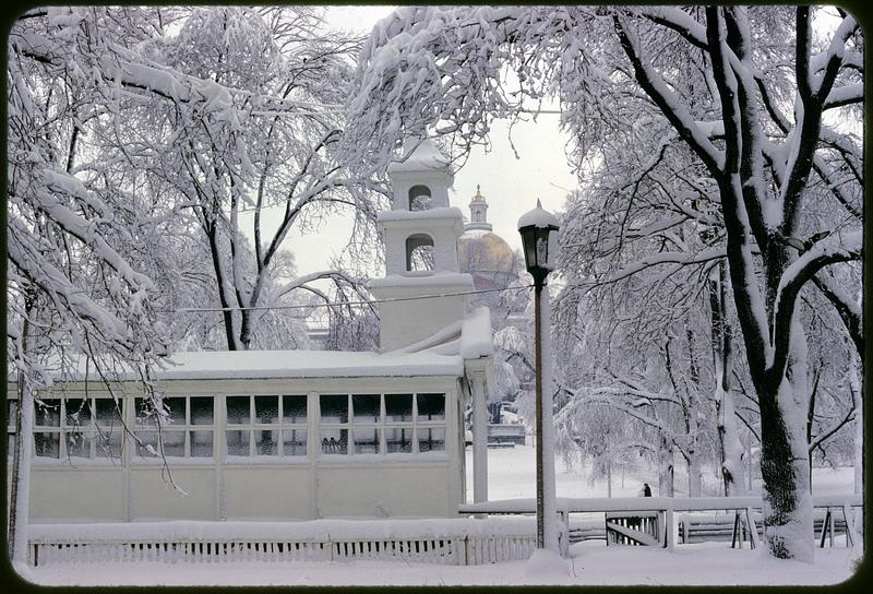 Christmas chapel, Boston Common