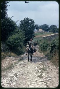 Man riding donkey, Roccasicura, Italy