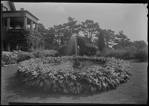 Fountain and funkia bordered pool in Mrs. F.M. Whitehouse's garden, E.