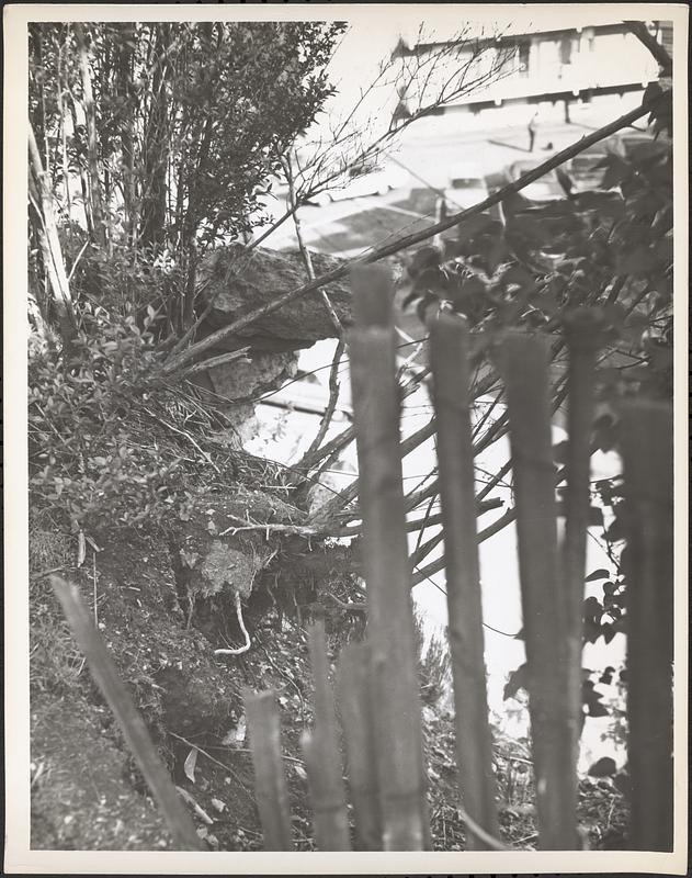 24 Grampian Way Digital Commonwealth