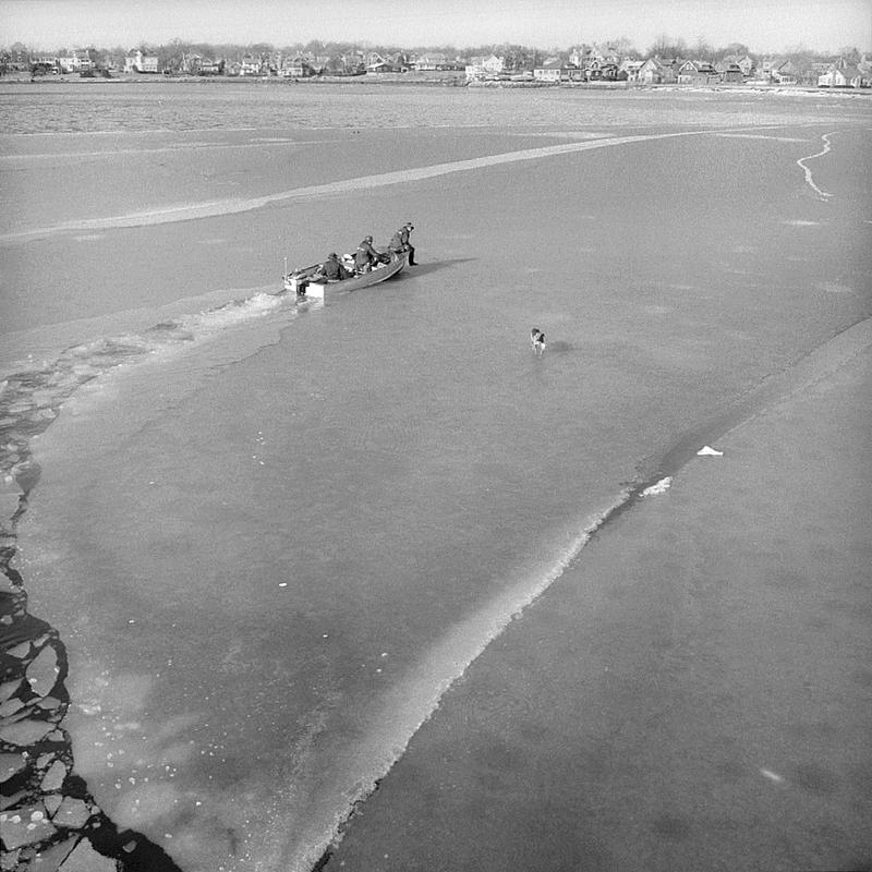 Dogs stuck on ice, Fairhaven, MA