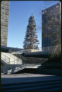 Christmas tree, Prudential Center Plaza