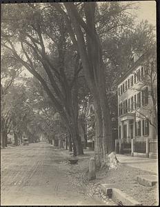 Chestnut Street, Salem